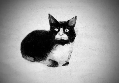 Black and white cat Stock Illustration