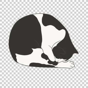 Black and white cat Illustrazione stock