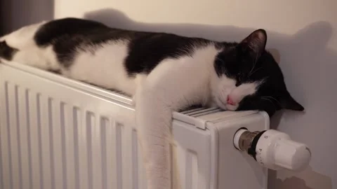 Black and white cat sleeping on a warm radiator at home Video stock 320529932