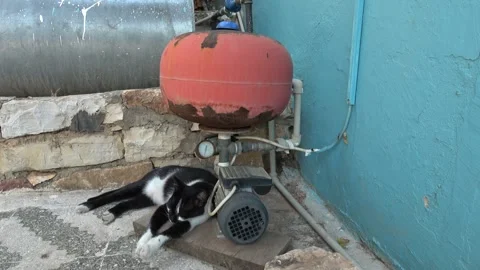 Black and white cat sleeping on the ground under a rusty water expansion tan Video stock 341585221