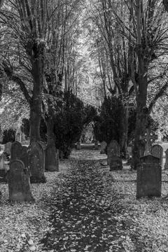 Black And White Cemetery Path Lined With Tombstones Stock Photos