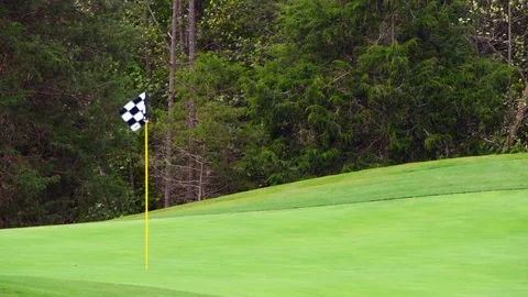 Black and white checkered flag blowing on the golf course with copy space Stock Footage 95559080
