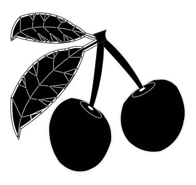 Black and white cherry with two leaf vector Stock Illustration