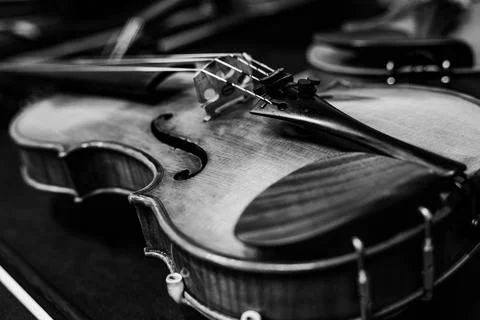 Black and white close-up of classical violin body with focus on bridge and .. Stock Photos
