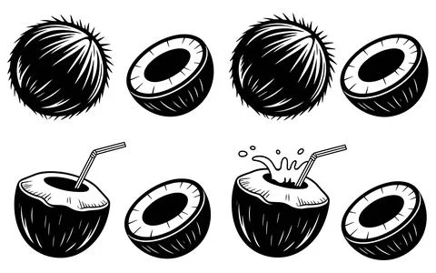 Black and white of coconuts with straws and juice splashing Stock Illustration
