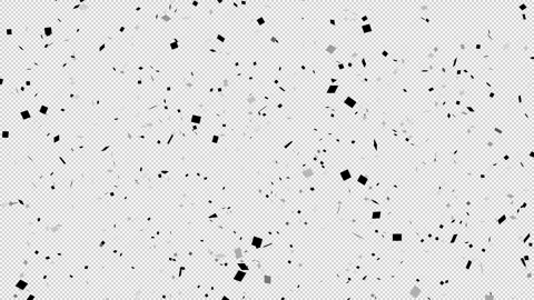 Black and White Confetti Pack on transparent background Stock Footage 292833457