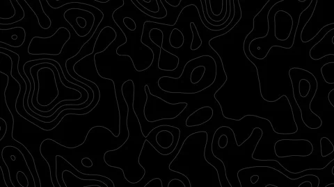 Black and White Contour Lines Background Видео 319218902