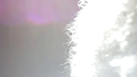 Black and white contrasting background with vertical camera movement. Stock Footage 126839124