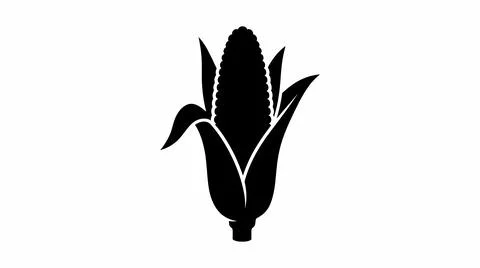Black and White Corn Cob Silhouette Icon Stock Illustration