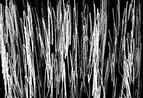 Black and White Crayon Scribbles Creating a Playful Pattern on a Blank Canvas Stock Illustration