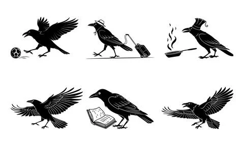 Black and white of crows in various activities raven bird 스톡 일러스트
