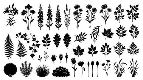 Black and white decorative leaf and berry vector icons 库存插图