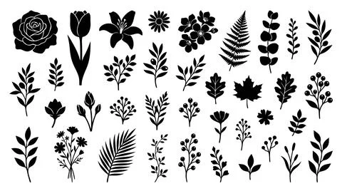 Black and white decorative leaf vector collection Illustrazione stock