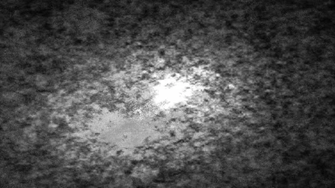 Black And White Diffuse Grainy Background Filter Loop Stock Footage 244329997