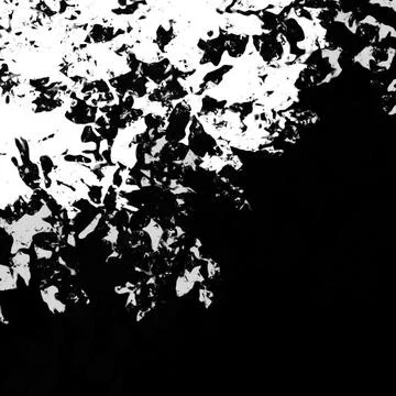 Black and White Distressed Irregular Texture Stock Illustration