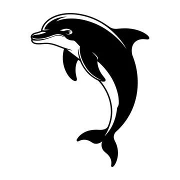 Black and white dolphin jumping out of water animal mammal marine life Illustrazione stock