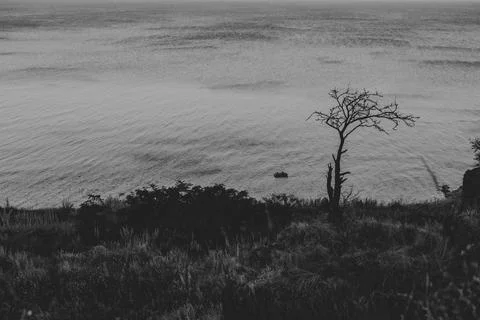 Black and white dramatic sea landscape. Nature background Stock Photos