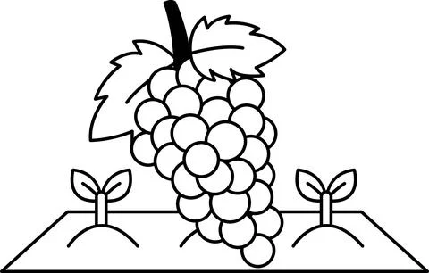 A black and white drawing of a bunch of grapes with a leaf on top Stock Illustration