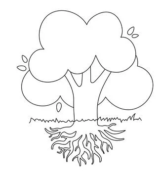 Black and white drawing of deciduous tree with large krone root system. Lin.. Stock Illustration