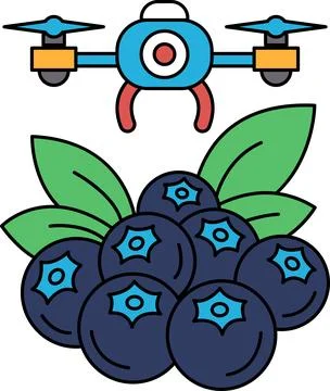 A black and white drawing of a drone flying over a bunch of blueberries Stock Illustration
