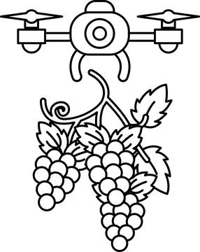 A black and white drawing of a drone and a bunch of grapes Stock Illustration