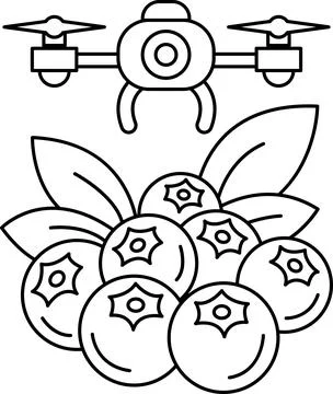 A black and white drawing of a drone flying over a bunch of blueberries Stock Illustration