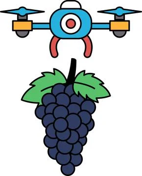A black and white drawing of a grape and a drone Ilustração Stock