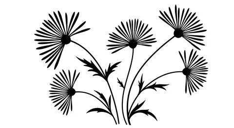 A black and white drawing of several dandelion flowers Stock Illustration