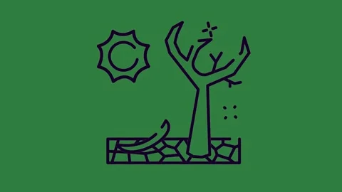 A black and white drawing of two trees on green background tree isolated Stock-Footage 336893205
