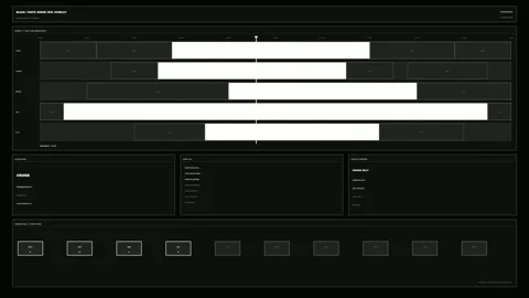 Black and White Drone HUD Overlay Interface Stock Footage 341996700