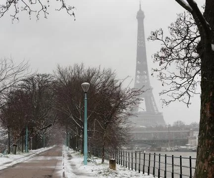 The black and white Eiffel tower with bare trees in winter, Paris, France. Stockfoto's