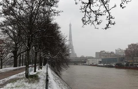 The black and white Eiffel tower with bare trees in winter, Paris, France. 写真素材