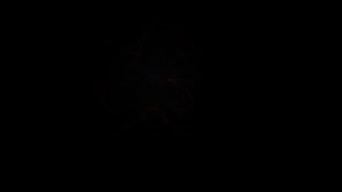 Black and white empty space background. Stock Footage 339992137