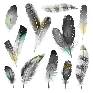 Black And White Feathers Set Illustrazione stock