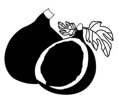 Black and white fig with two leaf vector design Stock Illustration