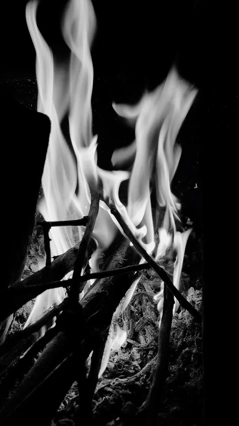 Black and White Fire Flames and Burning Wood Sticks Vídeo Stock 332001968