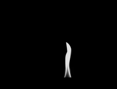 Black And White Fire Stock Footage 124114216