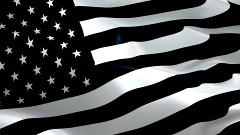 Black and white Flag Wave Loop waving in wind. Realistic freedom of speech Stock Footage 106334933