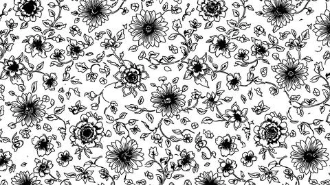 Black and White Floral Pattern Seamless Background Stock Illustration