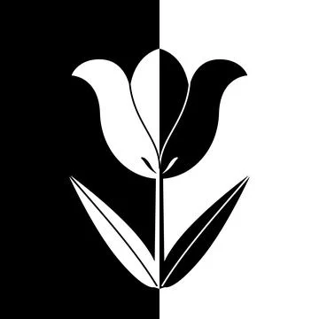 Black and white flower vector illustration. Stock Illustration