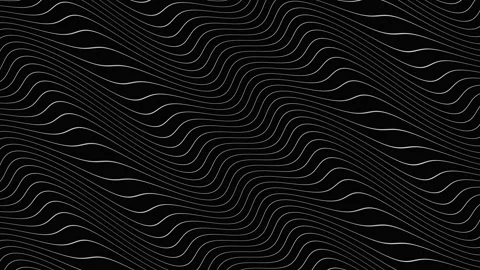 Black And White Flowing Line Field Background  Black and Stock Footage 342341440