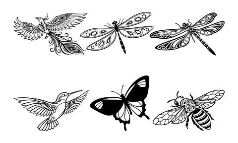 Black and white of flying insects and bird hummingbird phoenix dragonfly Stock Illustration