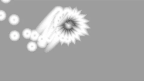 Black and White Stock Footage 76966714