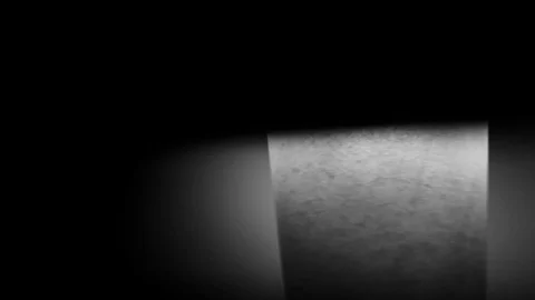 Black and White Stock Footage 108237246