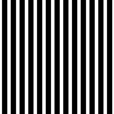 Black and white 스톡 동영상 245429725
