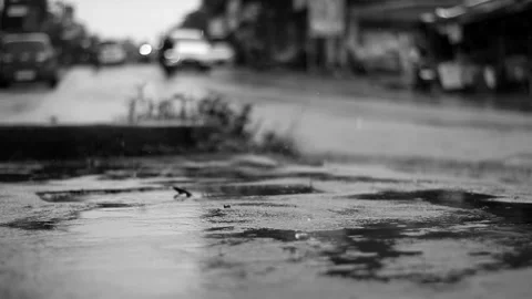 Black and white. Stock Footage 256388295