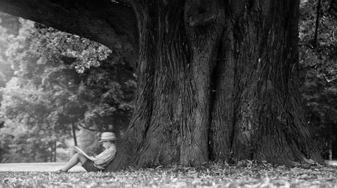 Black and white footage: a boy reading book under enormously big linden tree Stock Footage 53671745