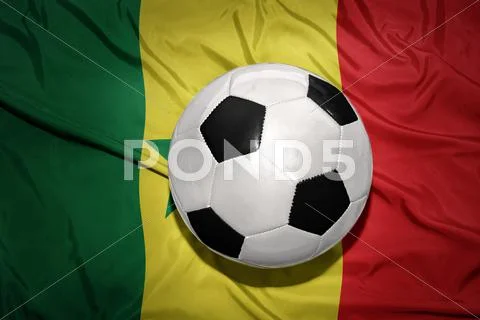 Black and white football ball on the national flag of senegal Stock Photos