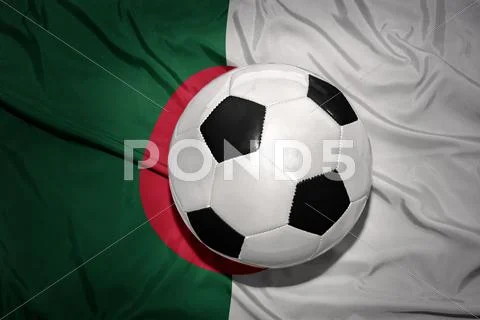 Black and white football ball on the national flag of algeria Stock Photos
