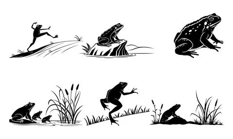 Black and white of frogs in various poses on land and in water with grass イラスト素材